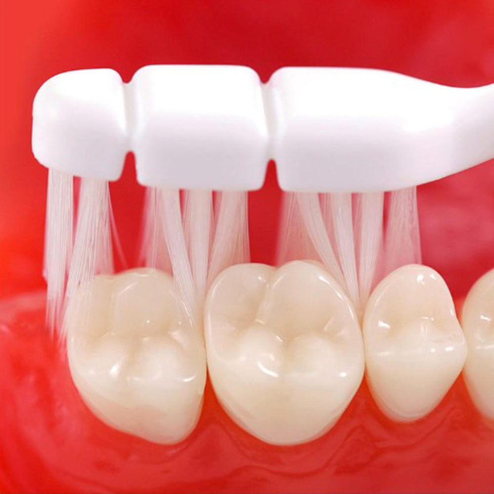 DENCLE All In One Toothbrush Box (Total 12)