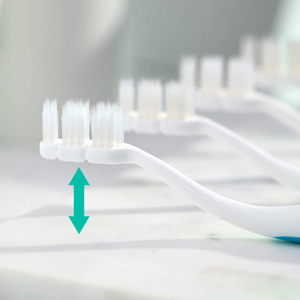 DENCLE All In One Toothbrush Box (Total 12)