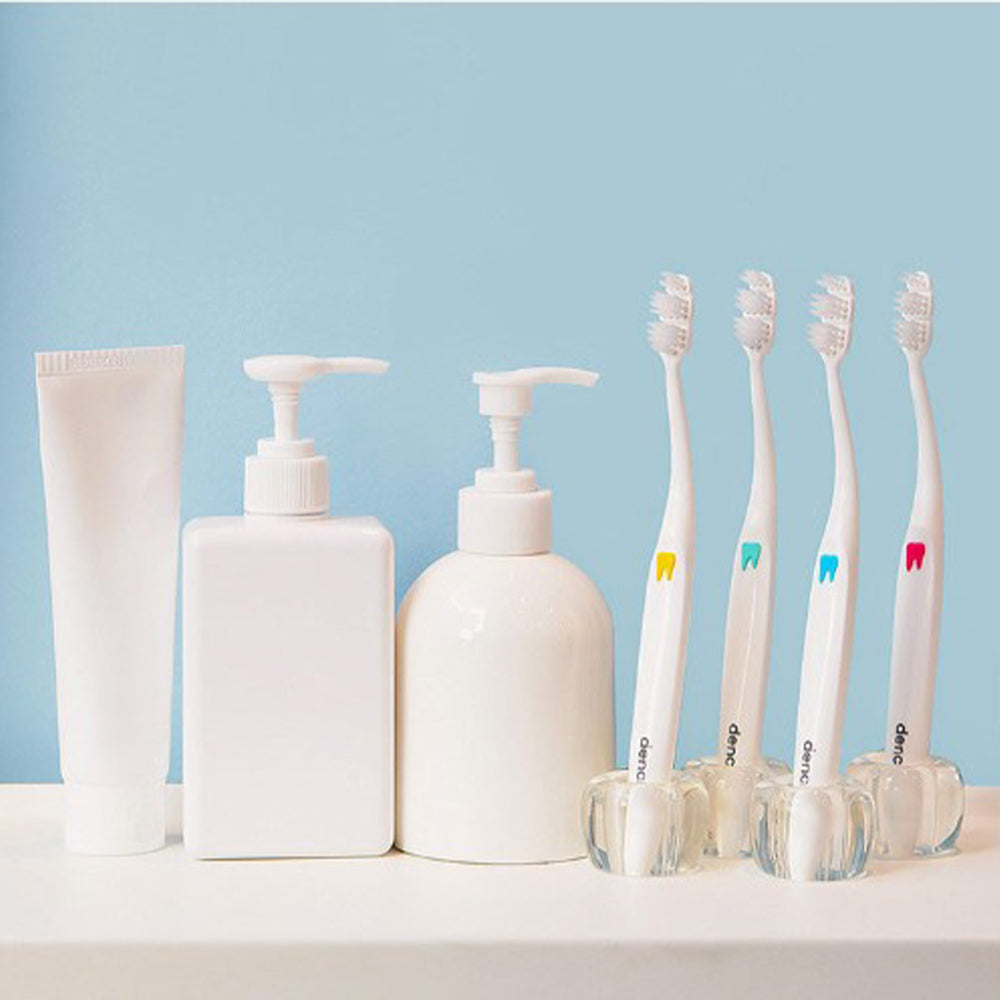 DENCLE All In One Toothbrush Box (Total 12)